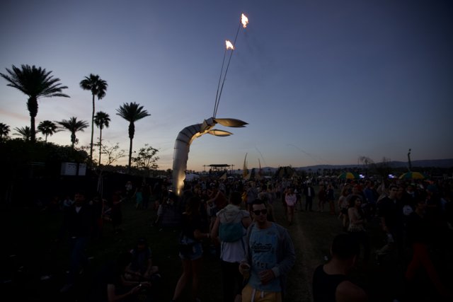 Palm Tree Light Show at Coachella Festival