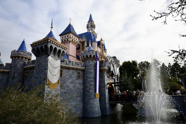Disney's Majestic Castle and Fountain