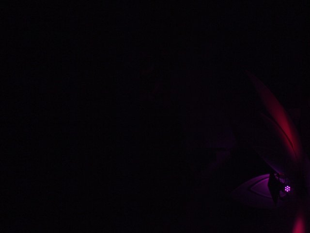 Purple Flame in the Dark