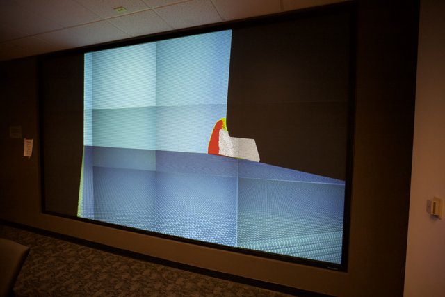 Large Screen Display
