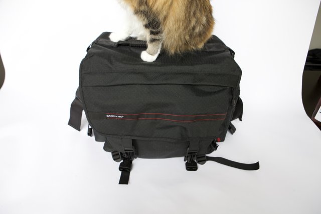 Feline Travel Companion