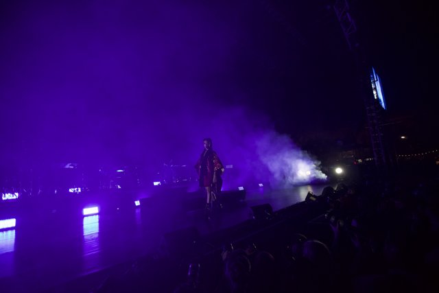 FKA Twigs Rocks the Stage in Purple Haze