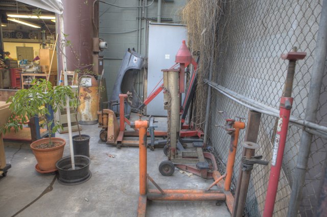 Tools and Plant in the Yard
