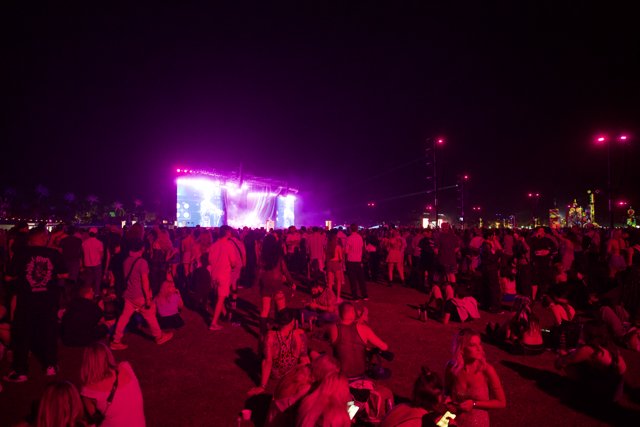 Electric Nights at Coachella 2024: The Crowd Under the Stars