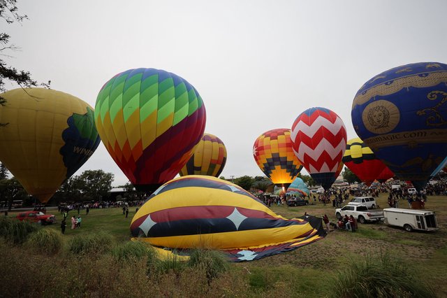 Colorful Hot Air Balloons Fill the Morning Sky