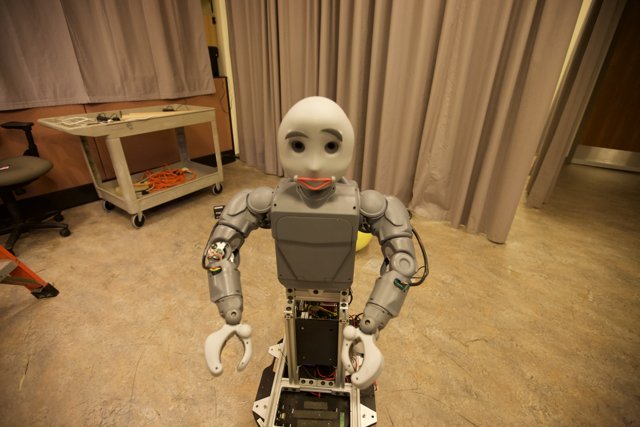 Face of a Robot