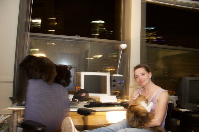 Late Night Office with Cats and City View