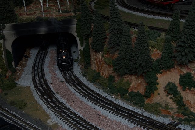 Model Train in Scenic Railroad Diorama