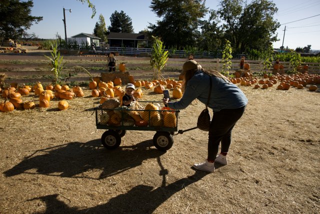 Harvest Time at the Metzgar's Pumpkin Patch