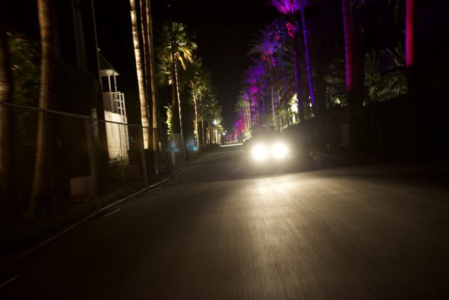 Night Drive Through Urban Palm Trees
