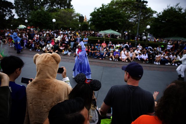 A Roaring Parade Experience at Disneyland