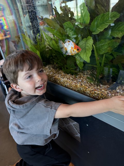 Wonder at the Aquarium
