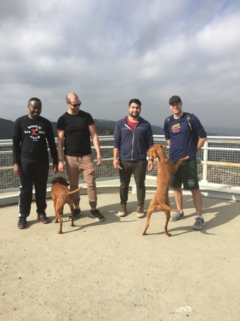 Four Friends with a Furry Companion