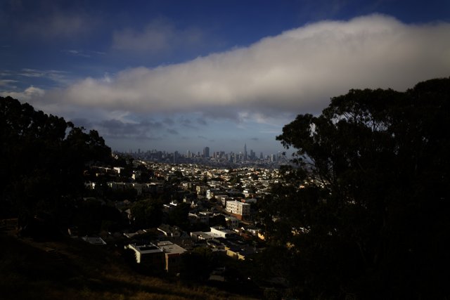 San Francisco Hillside Panorama