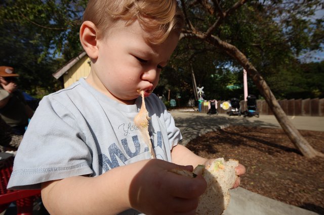 Young Boy Enjoying Sandwich at Outdoor Park