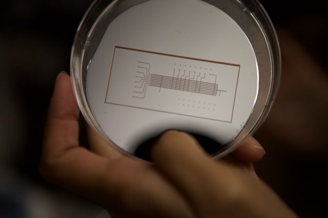 Examining the micro bio chip