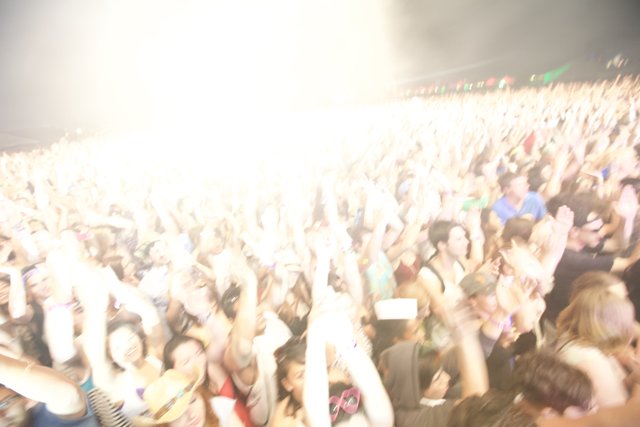 Partygoers at 2010 Coachella Concert
