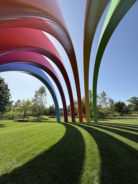 Arches of Innovation