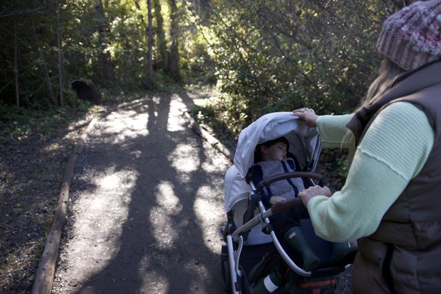 Quiet Stroll Through Thistlewyck