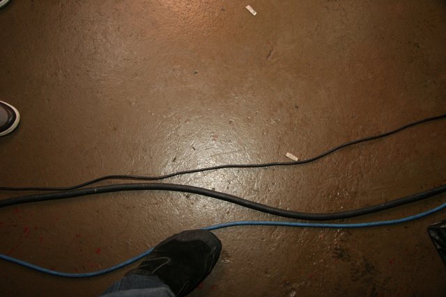 Standing on the Blue Cord