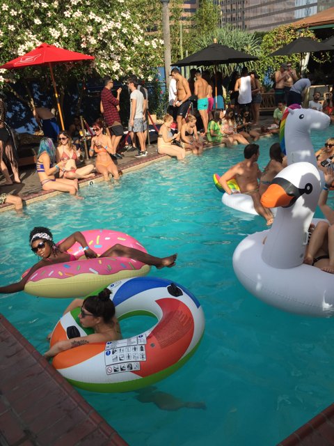 Pool Party in Los Angeles