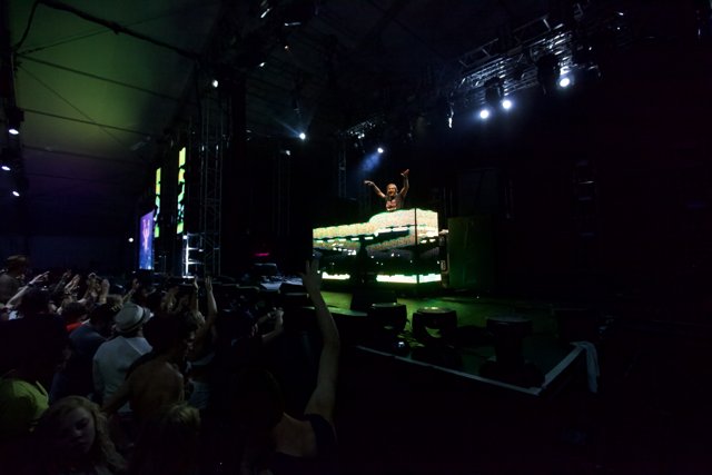 DJ Rocking the Crowd at Coachella