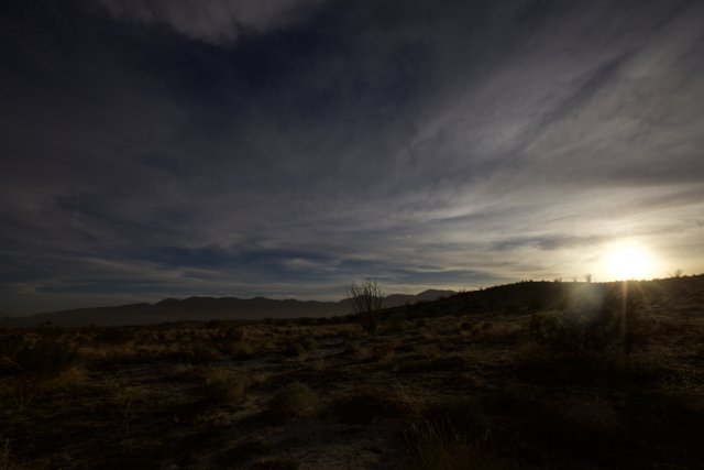 Dazzling Desert Sunset
