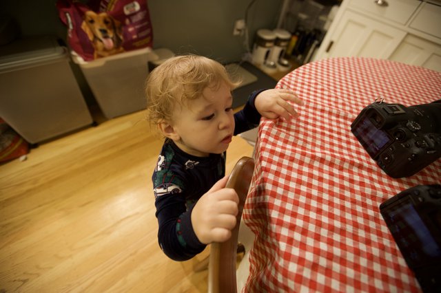 Curious Toddler Exploring Kitchen on Christmas Morning