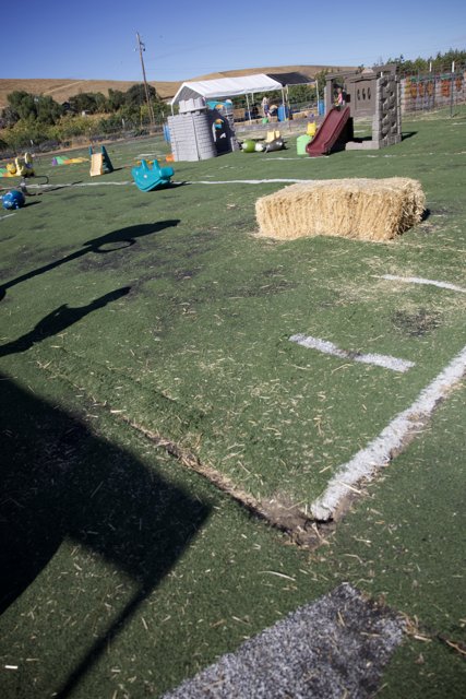 Harvest Field Play Day