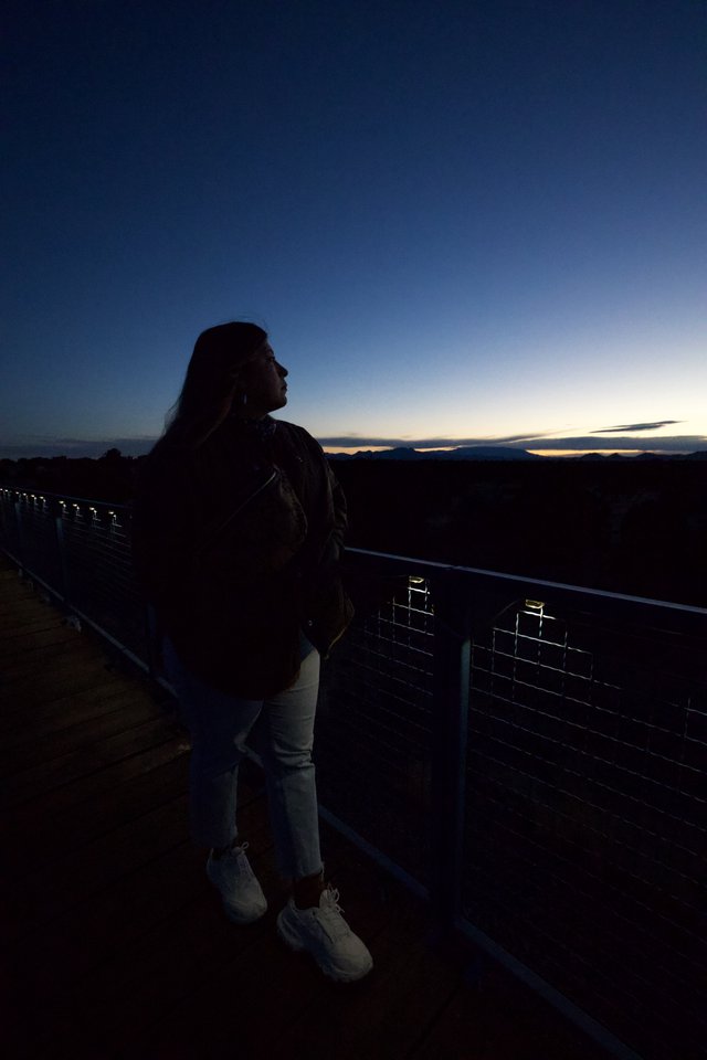 Silhouette Portrait at Twilight Overlook