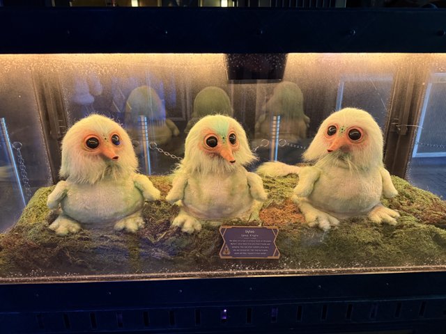 Curious Creatures at Disney California Adventure