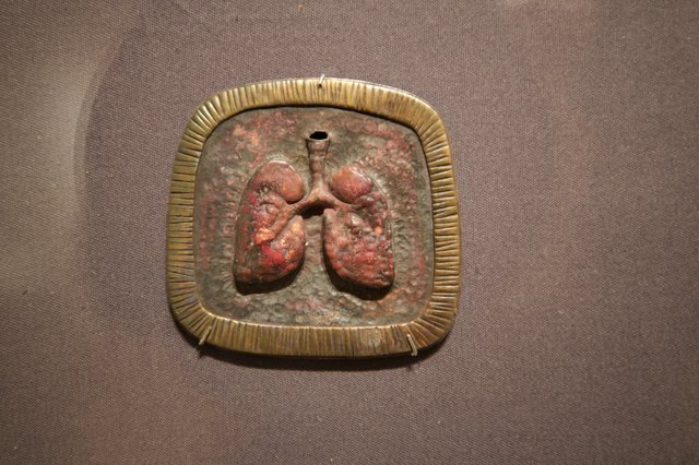 Ancient Anatomical Relief with Lungs Representation