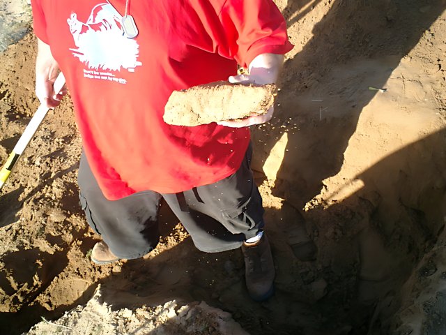 The Young Archaeologist
