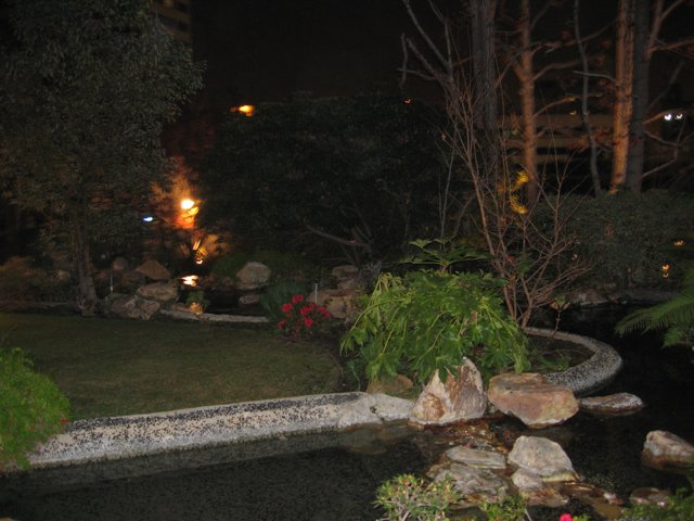 Serenity in the Night Garden
