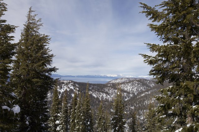 Summit Overlooking Tahoe Lake