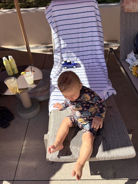 Sunny Playtime in Carmel