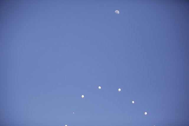 Celestial Balloons