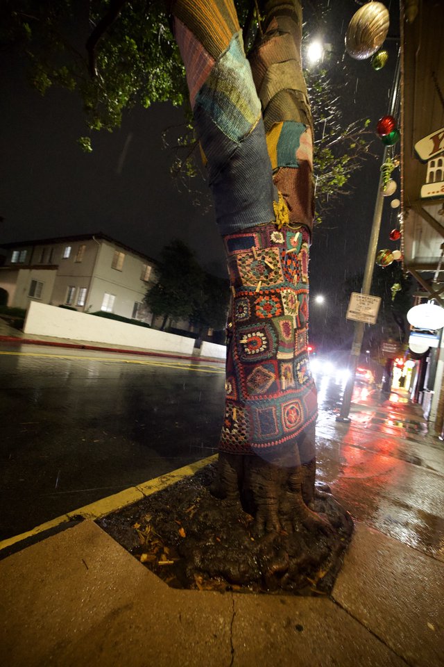 Yarn-Bombed Tree in Rain on City Street at Night