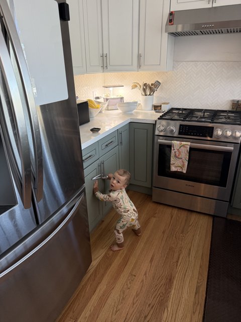 Curious Explorers in the Kitchen