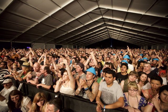 The Wild Crowd at Coachella Music Festival