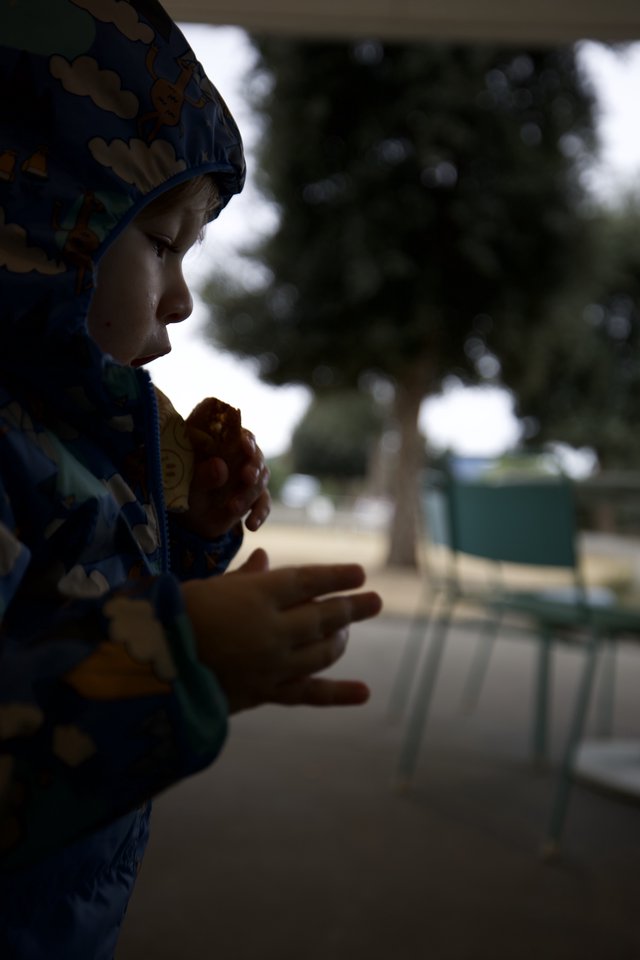 Child in Prayer Before Mealtime