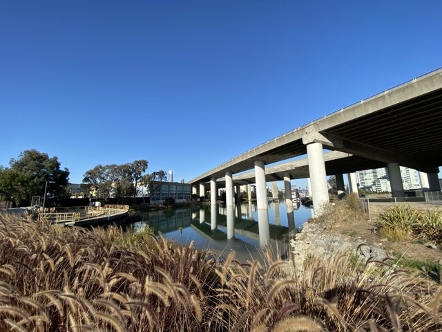 The Waterfront Bridge
