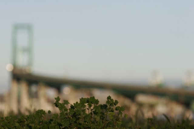 Blurry Bridge amidst Urban Metropolis
