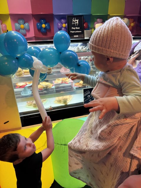 Balloon Adventures at the Palace
