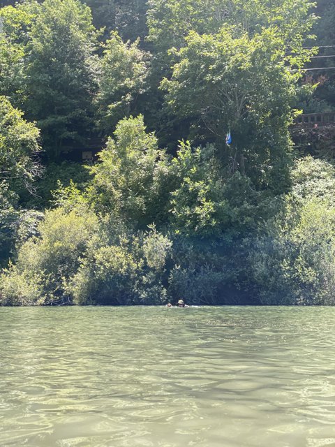 Kite Flying Fun on the Water