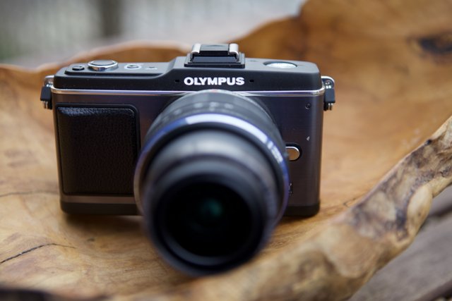 Olympus Digital Camera with Wood Strap