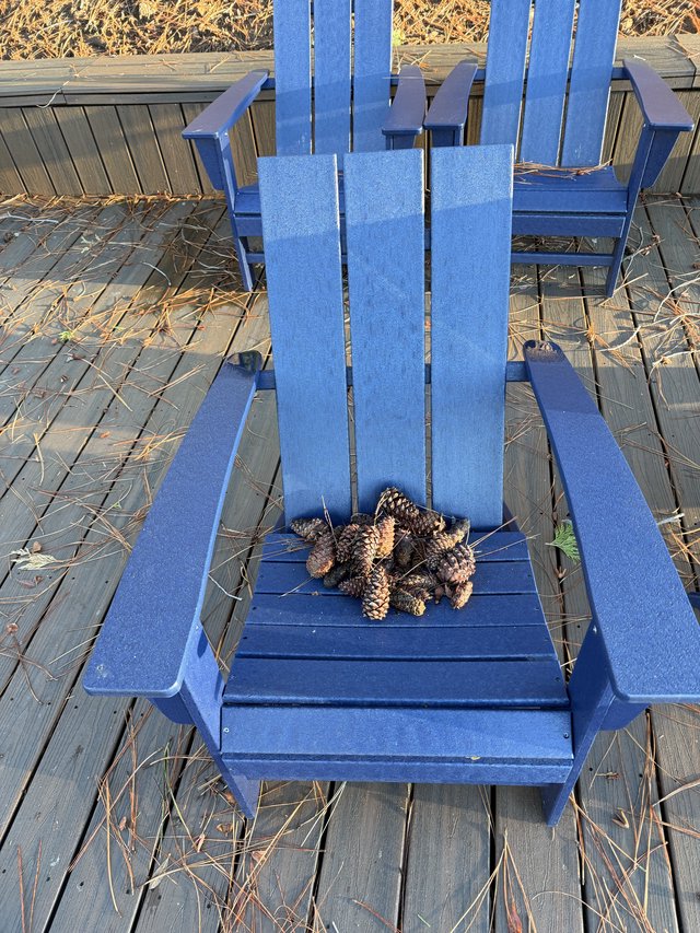 Pine Cones Arranged on Blue Adirondack Chair