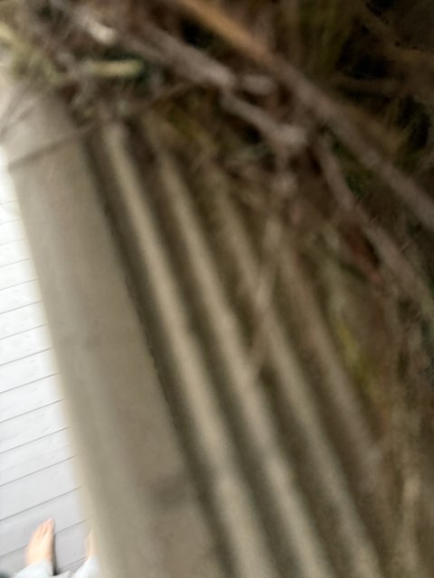 Architectural Abstract