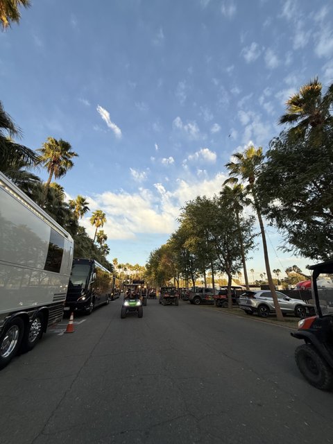 Sunlit Avenue at Empire Polo Club