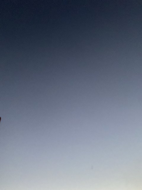 Kite Flying Under the Starry Sky